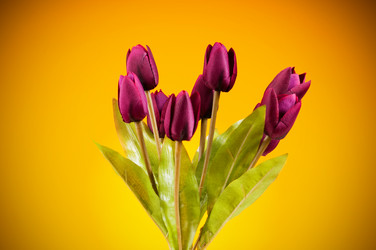 Similar image 318890