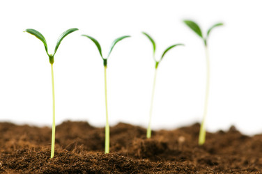 Similar image 318891