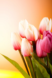 Similar image 318893