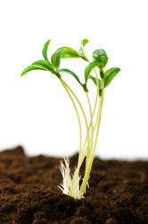 Similar image 318897