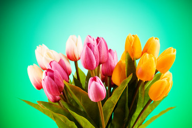 Similar image 318898