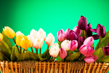 Similar image 318899