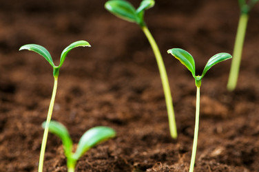 Similar image 318907