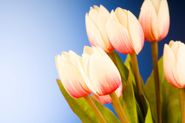 Similar image 318915