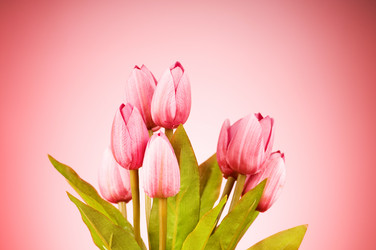 Similar image 318916