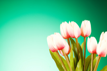 Similar image 318918