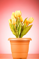 Similar image 318925