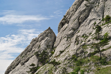 Similar image 318935