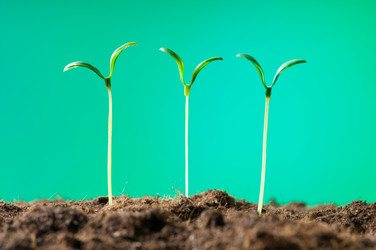 Similar image 318951