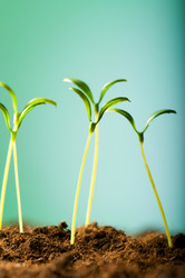 Similar image 318972