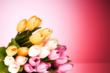 Similar image 318990