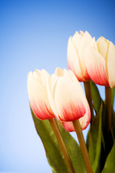 Similar image 318992