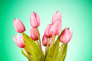 Similar image 318999