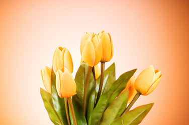 Similar image 319001