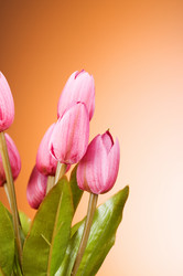 Similar image 319005