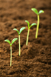 Similar image 319010