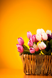 Similar image 319012