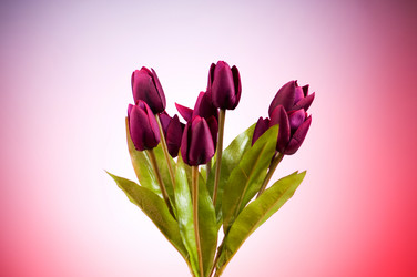 Similar image 319017