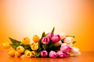 Similar image 319018