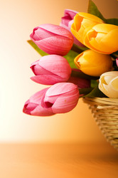 Similar image 319024