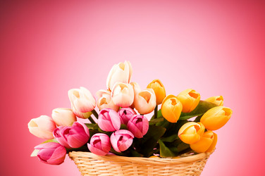 Similar image 319053