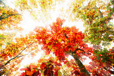 Similar image 319073