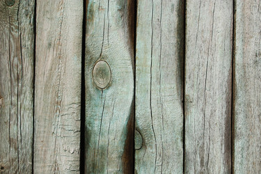 Similar image 319110