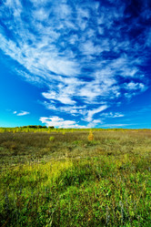 Similar image 319216