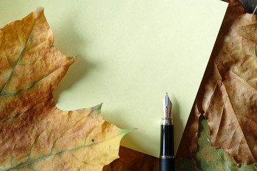 Similar image 319297