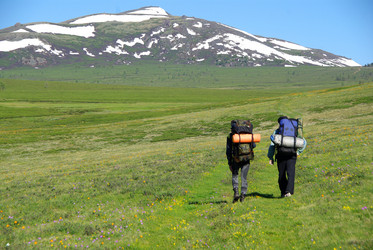 Similar image 319430