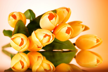 Similar image 319482