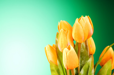 Similar image 319488