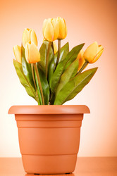 Similar image 319491