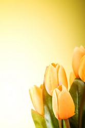 Similar image 319492