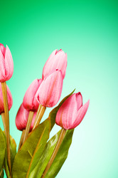 Similar image 319493