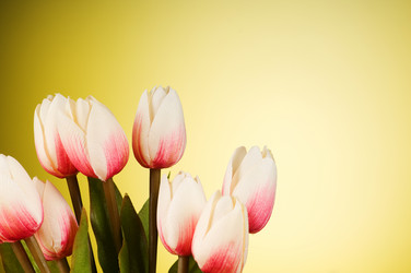 Similar image 319495