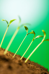 Similar image 319549