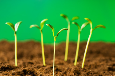 Similar image 319552