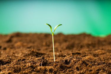 Similar image 319553