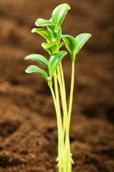 Similar image 319555