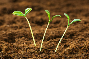 Similar image 319557