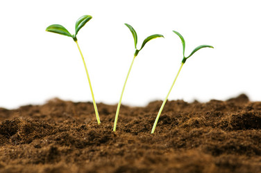 Similar image 319558