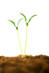 Similar image 319559