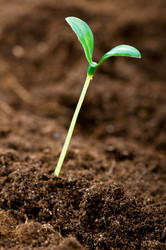 Similar image 319561