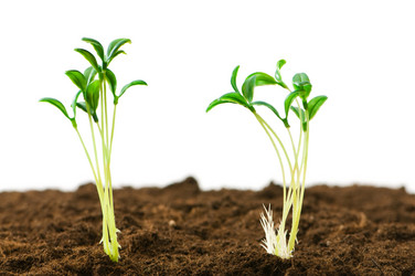 Similar image 319562