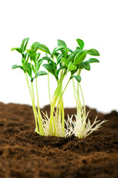 Similar image 319563