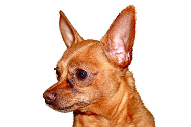 Similar image 319577