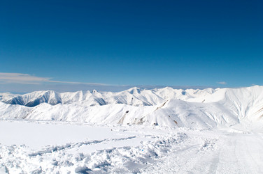 Similar image 319631