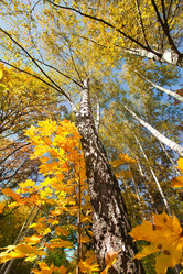 Similar image 319637