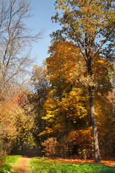 Similar image 319638